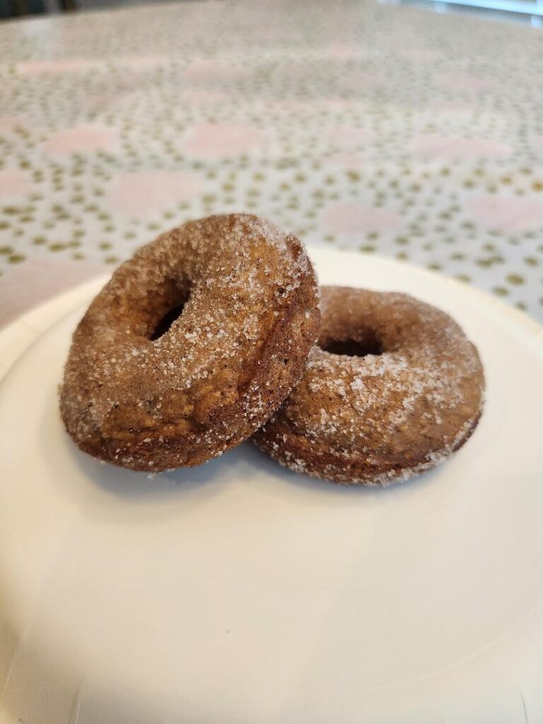 The Best Apple Cider Donuts 🍎🍩🍁