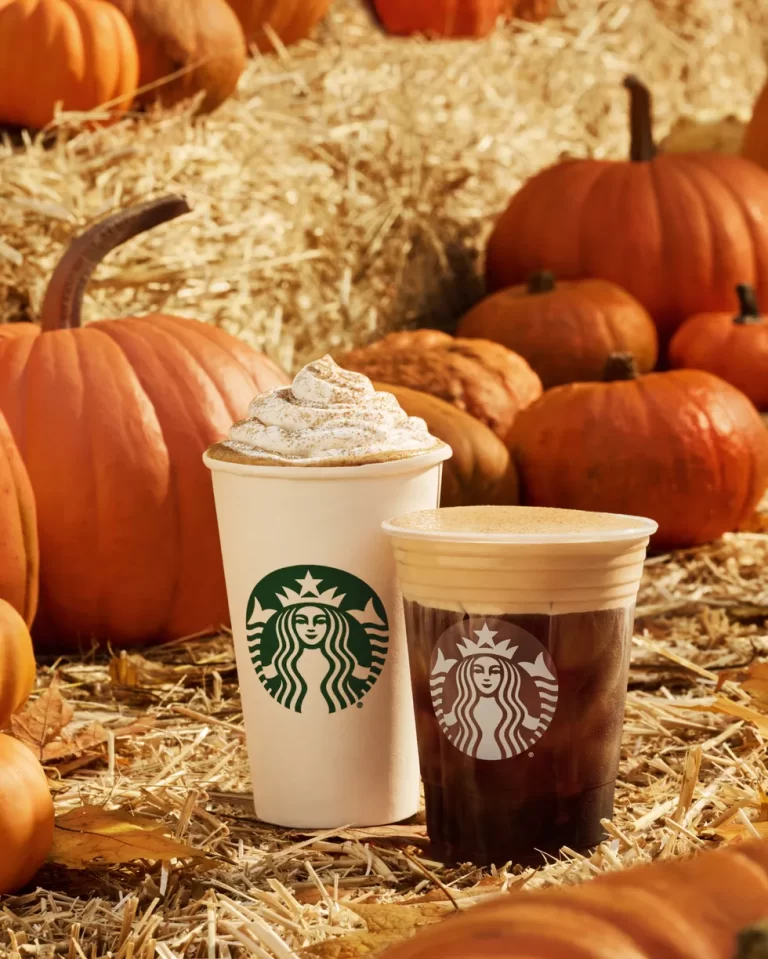 Starbucks Fall Drinks